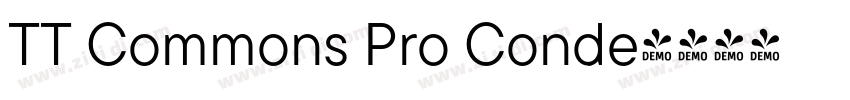 TT Commons Pro Conde字体转换